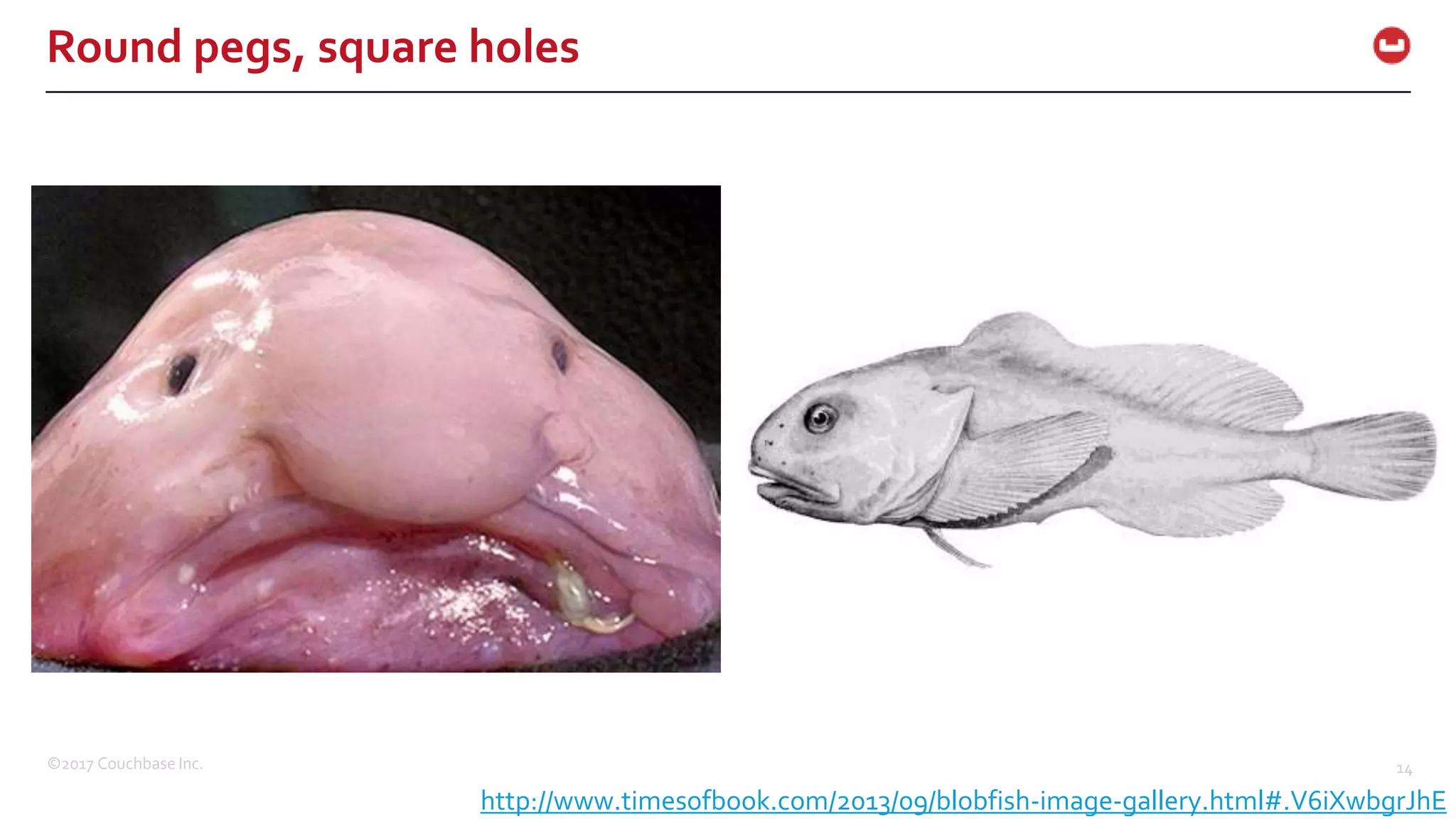 ©2017 Couchbase Inc. 14
Round pegs, square holes
http://www.timesofbook.com/2013/09/blobfish-image-gallery.html#.V6iXwbgrJhE
 