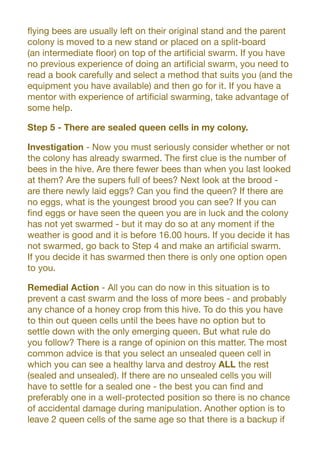 flying bees are usually left on their original stand and the parent
colony is moved to a new stand or placed on a split-board
(an intermediate floor) on top of the artificial swarm. If you have
no previous experience of doing an artificial swarm, you need to
read a book carefully and select a method that suits you (and the
equipment you have available) and then go for it. If you have a
mentor with experience of artificial swarming, take advantage of
some help.
Step 5 - There are sealed queen cells in my colony.
Investigation - Now you must seriously consider whether or not
the colony has already swarmed. The first clue is the number of
bees in the hive. Are there fewer bees than when you last looked
at them? Are the supers full of bees? Next look at the brood -
are there newly laid eggs? Can you find the queen? If there are
no eggs, what is the youngest brood you can see? If you can
find eggs or have seen the queen you are in luck and the colony
has not yet swarmed - but it may do so at any moment if the
weather is good and it is before 16.00 hours. If you decide it has
not swarmed, go back to Step 4 and make an artificial swarm.
If you decide it has swarmed then there is only one option open
to you.
Remedial Action - All you can do now in this situation is to
prevent a cast swarm and the loss of more bees - and probably
any chance of a honey crop from this hive. To do this you have
to thin out queen cells until the bees have no option but to
settle down with the only emerging queen. But what rule do
you follow? There is a range of opinion on this matter. The most
common advice is that you select an unsealed queen cell in
which you can see a healthy larva and destroy ALL the rest
(sealed and unsealed). If there are no unsealed cells you will
have to settle for a sealed one - the best you can find and
preferably one in a well-protected position so there is no chance
of accidental damage during manipulation. Another option is to
leave 2 queen cells of the same age so that there is a backup if
 
