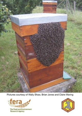 Pictures courtesy of Wally Shaw, Brian Jones and Claire Waring
 