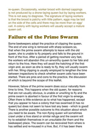 re-queen. Occasionally, worker brood with domed cappings
is not produced by a drone-laying queen but by laying workers.
This is not easy to diagnose. The signature of laying workers
is that the brood is patchy with little pattern, eggs may be laid
on the side of the cells and there may be more than on egg/
cell. A colony with laying workers will usually accept a mature
queen cell.
Failure of the Prime Swarm
Some beekeepers adopt the practice of clipping the queen.
The end of one wing is removed with sharp scissors so,
that when the prime swarm attempts to leave with the old
queen, she is unable to fly properly and falls to the ground in
front of the hive. After a period of getting nowhere very fast,
the workers will abandon this un-airworthy queen to her fate and
return to the hive. Here they will await the hatching of the first
virgin and, as soon as she is ready to fly, they will usually swarm
with her. Wing clipping is usually employed to lengthen the time
between inspections to check whether swarm cells have been
started. There are pros and cons to the practice, the discussion
of which is beyond the scope of this leaflet.
However, failure of the prime swarm does occur naturally from
time to time. This happens when the old queen, for reasons
that are not usually obvious, is unable or unwilling to fly and the
prime swarm is aborted in favour of the first virgin to emerge.
Often there is little evidence as to what has happened, except
that you appear to have a colony that has swarmed (it has no
queen) but does not seem to have lost any bees - which is good!
There is another possible outcome to this situation about which
you need to be aware. The non-flying queen will sometimes
crawl under a hive stand or similar refuge and the swarm will
try to establish themselves in an unsuitable (for them and the
beekeeper) place. The swarm can be recovered from where is
has settled and re-housed in a hive. But, if it has been there
 