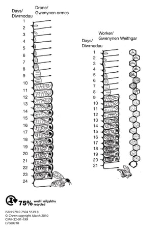 Drone/
Gwenynen ormes
1
2
3
4
5
6
7
8
9
10
11
12
13
14
15
16
17
18
19
20
21
ISBN 978 0 7504 5539 8
© Crown copyright March 2010
CMK-22-01-199
E7680910
Worker/
Gwenynen Weithgar
Days/
Diwrnodau
1
2
3
4
5
6
7
8
9
10
11
12
13
14
15
16
17
18
19
20
21
22
23
24
Days/
Diwrnodau
 