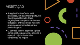 VEGETAÇÃO
• A região Centro-Oeste está
localizada, em sua maior parte, no
Domínio do Cerrado. Essa
vegetação é composta de árvores
tortuosas, entre as quais nascem
gramíneas apropriadas para o
pasto do gado.
• O cerrado possui espécies típicas
como o ipê, o pau serra, a lixeira e
o pequi, cujo fruto é muito
consumido na região.
 