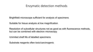 Enzymatic detection methods
Brightfield microscope sufficient for analysis of specimens
Suitable for tissue analysis at low magnification
Resolution of subcellular structures not as good as with fluorescence methods,
but can be combined with electron microscopy
Unimited shelf life of labelled specimens
Substrate reagents often toxic/carcinogenic
 