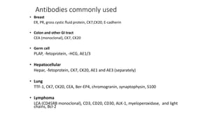 Antibodies commonly used
• Breast
ER, PR, gross cystic ﬂuid protein, CK7,CK20, E-cadherin
• Colon and other GI tract
CEA (monoclonal), CK7, CK20
• Germ cell
PLAP, -fetoprotein, -HCG, AE1/3
• Hepatocellular
Hepar, -fetoprotein, CK7, CK20, AE1 and AE3 (separately)
• Lung
TTF-1, CK7, CK20, CEA, Ber-EP4, chromogranin, synaptophysin, S100
• Lymphoma
LCA (CD45RB monoclonal), CD3, CD20, CD30, ALK-1, myeloperoxidase, and light
chains, Bcl-2
 