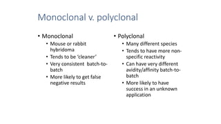 Monoclonal v. polyclonal
• Monoclonal
• Mouse or rabbit
hybridoma
• Tends to be ‘cleaner’
• Very consistent batch-to-
batch
• More likely to get false
negative results
• Polyclonal
• Many different species
• Tends to have more non-
specific reactivity
• Can have very different
avidity/affinity batch-to-
batch
• More likely to have
success in an unknown
application
 