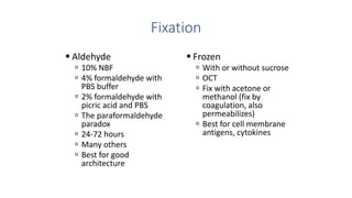 Fixation
 Aldehyde
 10% NBF
 4% formaldehyde with
PBS buffer
 2% formaldehyde with
picric acid and PBS
 The paraformaldehyde
paradox
 24-72 hours
 Many others
 Best for good
architecture
 Frozen
 With or without sucrose
 OCT
 Fix with acetone or
methanol (fix by
coagulation, also
permeabilizes)
 Best for cell membrane
antigens, cytokines
 