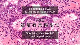 Pathologist’s H&E
is like the clinician’s H&P
Special studies like IHC
could be performed
 