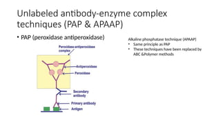 IHC interpretation- and its quality control .pptx