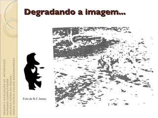 Degradando a imagem...   Foto de R.C.James DESIGN E AVALIAÇÃO DE  INTERFACES HUMANO-COMPUTADOR  HELOÍSA VIEIRA DA ROCHA -  MARIA CECÍLIA CALANI BARANAUSKAS 