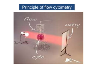 Principle of flow cytometry
 