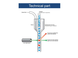 Technical part
 