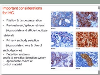 IHC_PRINCIPLES.pdf