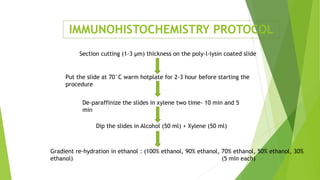 IMMUNOHISTOCHEMISTRY PROTOCOL
Section cutting (1-3 µm) thickness on the poly-l-lysin coated slide
Put the slide at 70°C warm hotplate for 2-3 hour before starting the
procedure
De-paraffinize the slides in xylene two time- 10 min and 5
min
Dip the slides in Alcohol (50 ml) + Xylene (50 ml)
Gradient re-hydration in ethanol : (100% ethanol, 90% ethanol, 70% ethanol, 50% ethanol, 30%
ethanol) (5 min each)
 