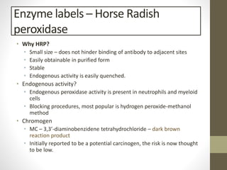 Enzyme labels – Horse Radish
peroxidase
• Why HRP?
• Small size – does not hinder binding of antibody to adjacent sites
• Easily obtainable in purified form
• Stable
• Endogenous activity is easily quenched.
• Endogenous activity?
• Endogenous peroxidase activity is present in neutrophils and myeloid
cells
• Blocking procedures, most popular is hydrogen peroxide-methanol
method
• Chromogen
• MC – 3,3’-diaminobenzidene tetrahydrochloride – dark brown
reaction product
• Initially reported to be a potential carcinogen, the risk is now thought
to be low.
 
