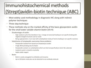 Immunohistochemical methods
(Strept)avidin-biotin technique (ABC)
• Most widely used methodology in diagnostic IHC along with indirect
polymer techniques
• Three step technique
• These methods rely on the marked affinity of the basic glycoprotein avidin
for the small water soluble vitamin biotin (Vit H)
• Disadvantages of avidin:
• High isoelectric pH of 10; therefore it has + charge at neutral pH leading to non specific binding with
negative charged structures such as nuclei
• Being a glycoprotein, it can react with carbohydrate moiety of lectins leading to non specific reactions
• Substitution of streptavidin overcomes these problems
• Streptavidin isolated from bacterium Streptomyces avidini
• 4 high affinity binding sites for Biotin
• Streptavidin contains no carbohydrate which can bind nonspecifically to lectin like substrate
• Isoelectric point is closed to neutrality
• Highly stable reagent
• Biotin
• Biotin is easily conjugated to antibodies and enzymes
• Up to 150 biotin molecules can be attached to one antibody molecule
 