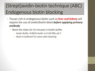 (Strept)avidin-biotin technique (ABC)
Endogenous biotin blocking
• Tissues rich in endogenous biotin such as liver and kidney will
require the use of avidin/biotin block before applying primary
antibody
• Block the slides for 15 minutes in Avidin buffer.
• Avidin Buffer: 0.001% Avidin in 0.1M PBS, pH 7
• Wash in buffered Tris saline after blocking
 