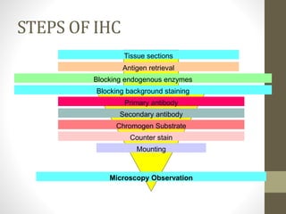STEPS OF IHC
Slide 3 of 23
Tissue sections
Antigen retrieval
Blocking endogenous enzymes
Secondary antibody
Primary antibody
Microscopy Observation
Blocking background staining
Chromogen Substrate
Counter stain
Mounting
 