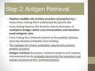 Step 2: Antigen Retrieval
• Fixation modifies the tertiary structure of proteins(Ags) -
many times making them undetected by specific Abs
• Cross-linking fixatives like formalin lead to formation of
methylene bridges which cross-link proteins and therefore
mask antigenic sites
• Cross-linking the irrelevant protein to the peptide epitopes
sterically blocked antibodies from binding
• The epitopes for clinical antibodies require only primary
protein structure
• Antigen retrieval dissociates irrelevant proteins and restores
immunoreactivity by probably denaturing the secondary and
tertiary structure of the irrelevant protein.
 