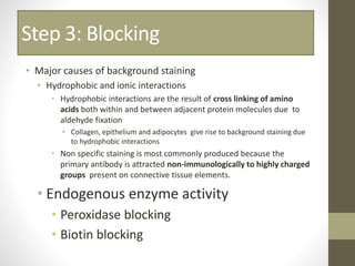 Step 3: Blocking
• Major causes of background staining
• Hydrophobic and ionic interactions
• Hydrophobic interactions are the result of cross linking of amino
acids both within and between adjacent protein molecules due to
aldehyde fixation
• Collagen, epithelium and adipocytes give rise to background staining due
to hydrophobic interactions
• Non specific staining is most commonly produced because the
primary antibody is attracted non-immunologically to highly charged
groups present on connective tissue elements.
• Endogenous enzyme activity
• Peroxidase blocking
• Biotin blocking
 