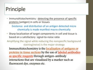 Principle
• Immunohistochemistry : detecting the presence of specific
proteins (antigen) in cells or tissues
Existence and distribution of an antigen detected micro
chemically is made manifest macro chemically
• Sharp localization of target components in cell and tissue is
based on a satisfactory signal-to-noise ratio
Amplifying the signal while reducing the nonspecific background
staining(noise) is the major strategy
Immunohistochemistry is the localization of antigens or
proteins in tissue sections by the use of labeled antibodies
as specific reagents through antigen-antibody
interactions that are visualized by a marker such as
fluorescent dye, enzymes etc.
 