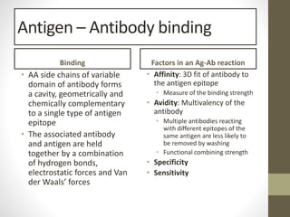 Antigen – Antibody binding
Binding
• AA side chains of variable
domain of antibody forms
a cavity, geometrically and
chemically complementary
to a single type of antigen
epitope
• The associated antibody
and antigen are held
together by a combination
of hydrogen bonds,
electrostatic forces and Van
der Waals’ forces
Factors in an Ag-Ab reaction
• Affinity: 3D fit of antibody to
the antigen epitope
• Measure of the binding strength
• Avidity: Multivalency of the
antibody
• Multiple antibodies reacting
with different epitopes of the
same antigen are less likely to
be removed by washing
• Functional combining strength
• Specificity
• Sensitivity
 