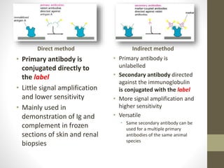 Direct method
• Primary antibody is
conjugated directly to
the label
• Little signal amplification
and lower sensitivity
• Mainly used in
demonstration of Ig and
complement in frozen
sections of skin and renal
biopsies
Indirect method
• Primary antibody is
unlabelled
• Secondary antibody directed
against the immunoglobulin
is conjugated with the label
• More signal amplification and
higher sensitivity
• Versatile
• Same secondary antibody can be
used for a multiple primary
antibodies of the same animal
species
 