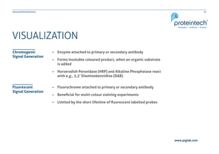 21Immunohistochemistry
www.ptglab.com
VISUALIZATION
–– Enzyme attached to primary or secondary antibody
–– Forms insoluble coloured product, when an organic substrate
	 is added
–– Horseradish Peroxidase (HRP) and Alkaline Phosphatase react 	
	 with e.g., 3,3’ Diaminobenzidine (DAB)
–– Fluorochrome attached to primary or secondary antibody
–– Beneficial for multi-colour staining experiments
–– Limited by the short lifetime of fluorescent labelled probes
Chromogenic
Signal Generation
Fluorescent
Signal Generation
 