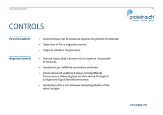 23Immunohistochemistry
www.ptglab.com
CONTROLS
–– Control tissue that is known to express the protein of interest.
–– Detection of false negative results.
–– Helps to validate the protocol.
–– Control tissue that is known not to express the protein
	 of interest.
–– Incubation just with the secondary antibody.
–– Observation of unstained tissue in brightfield/
	 fluorescence channel gives an idea about biological
	 background signal/autofluorescence.
–– Incubation with a non-immune immunoglobulin of the
	 same isotype.
Positive Control
Negative Control
 