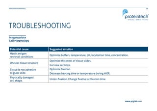 26Immunohistochemistry
www.ptglab.com
TROUBLESHOOTING
Inappropriate
Cell Morphology
Potential cause Suggested solution
Harsh antigen
retrieval conditions
Optimize buffers, temperature, pH, incubation time, concentration.
Unclear tissue structure
Optimize thickness of tissue slides.
Cut new sections.
Tissue is not adhesive
to glass slide.
Optimize fixation.
Decrease heating time or temperature during HIER.
Physically damaged
cell shape.
Under-fixation. Change fixative or fixation time.
 