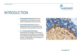 3Immunohistochemistry
www.ptglab.com
INTRODUCTION
–– Immunohistochemistry allows the 		
	 visualization of proteins in tis...