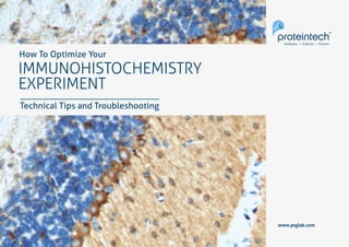 How To Optimize Your Immunohistochemistry Experiment | PPT