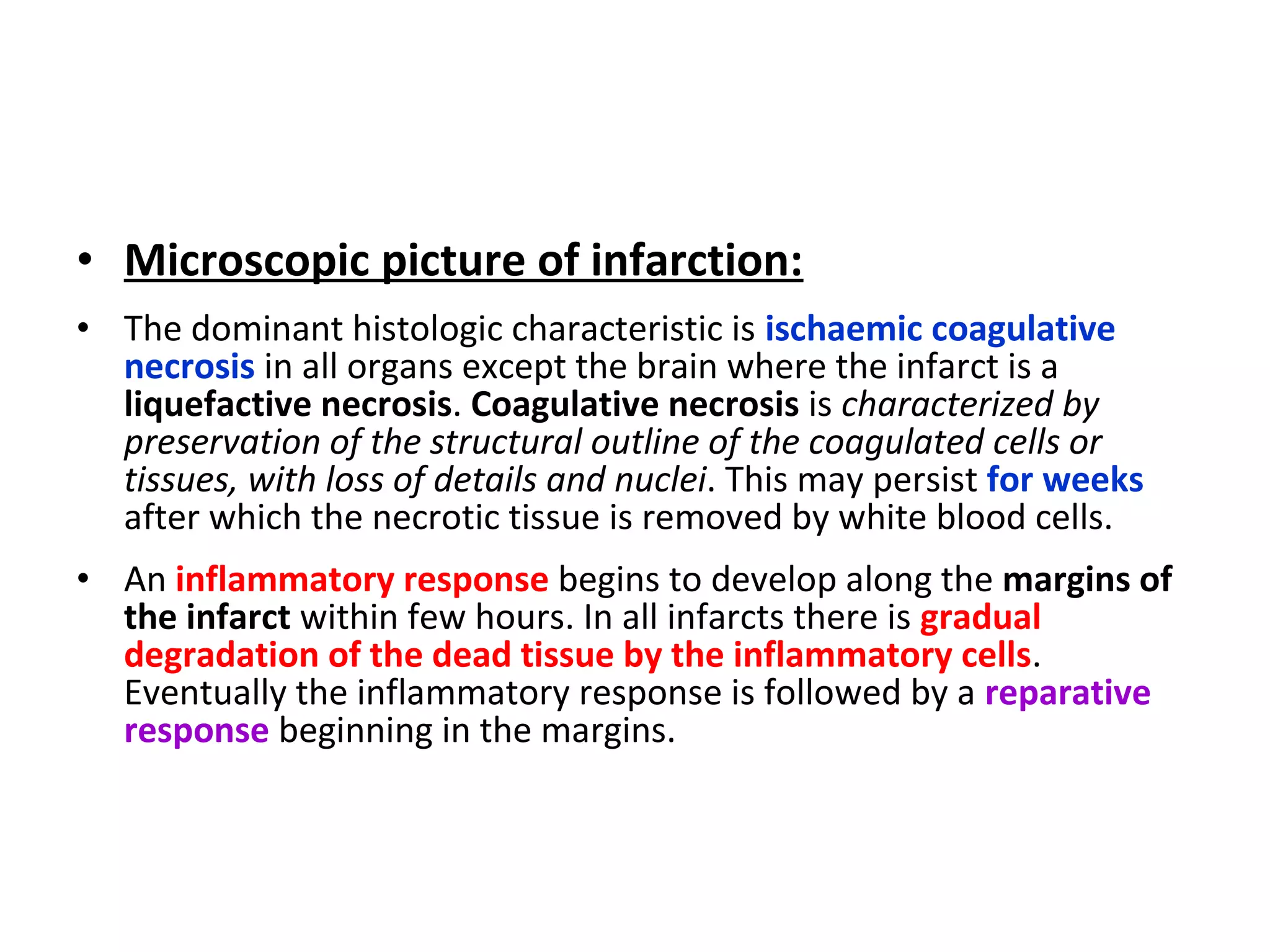 • Microscopic picture of infarction: 
• The dominant histologic characteristic is ischaemic coagulative 
necrosis in all organs except the brain where the infarct is a 
liquefactive necrosis. Coagulative necrosis is characterized by 
preservation of the structural outline of the coagulated cells or 
tissues, with loss of details and nuclei. This may persist for weeks 
after which the necrotic tissue is removed by white blood cells. 
• An inflammatory response begins to develop along the margins of 
the infarct within few hours. In all infarcts there is gradual 
degradation of the dead tissue by the inflammatory cells. 
Eventually the inflammatory response is followed by a reparative 
response beginning in the margins. 
 