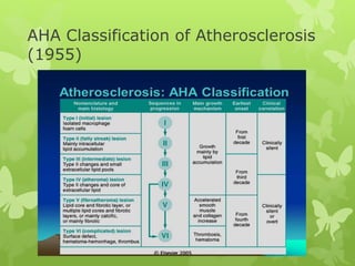AHA Classification of Atherosclerosis
(1955)
 