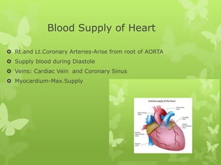 Blood Supply of Heart
 Rt.and Lt.Coronary Arteries-Arise from root of AORTA
 Supply blood during Diastole
 Veins: Cardiac Vein and Coronary Sinus
 Myocardium-Max.Supply
 