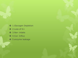  1.Glycogen Depletion
 2.Loss of K+
 3.Na+ intake
 4.Ca+ Influx
 5.enzyme leakage
 