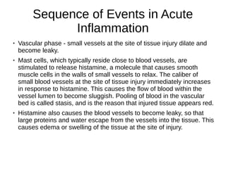 Sequence of Events in Acute
Inflammation
● Vascular phase - small vessels at the site of tissue injury dilate and
become leaky.
● Mast cells, which typically reside close to blood vessels, are
stimulated to release histamine, a molecule that causes smooth
muscle cells in the walls of small vessels to relax. The caliber of
small blood vessels at the site of tissue injury immediately increases
in response to histamine. This causes the flow of blood within the
vessel lumen to become sluggish. Pooling of blood in the vascular
bed is called stasis, and is the reason that injured tissue appears red.
● Histamine also causes the blood vessels to become leaky, so that
large proteins and water escape from the vessels into the tissue. This
causes edema or swelling of the tissue at the site of injury.
 
