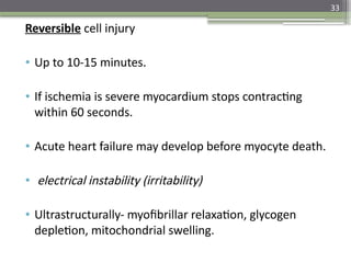 33
Reversible cell injury
• Up to 10-15 minutes.
• If ischemia is severe myocardium stops contracting
within 60 seconds.
• Acute heart failure may develop before myocyte death.
• electrical instability (irritability)
• Ultrastructurally- myofibrillar relaxation, glycogen
depletion, mitochondrial swelling.
 