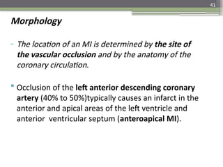 41
Morphology
- The location of an MI is determined by the site of
the vascular occlusion and by the anatomy of the
coronary circulation.
 Occlusion of the left anterior descending coronary
artery (40% to 50%)typically causes an infarct in the
anterior and apical areas of the left ventricle and
anterior ventricular septum (anteroapical MI).
 