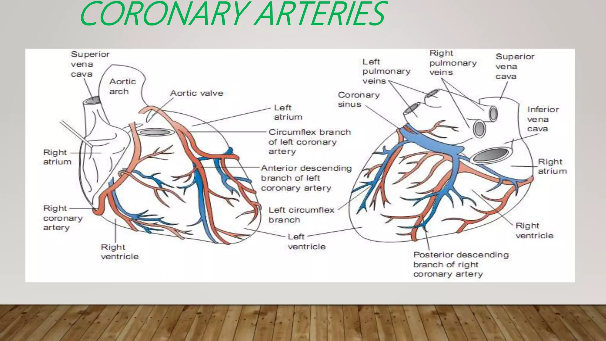 Ischemic Heart Disease Ppt PPTX Heart And Cardiovascular Diseases Ischemic heart disease ppt pptx heart and cardiovascular diseases