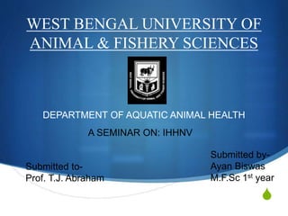 S
WEST BENGAL UNIVERSITY OF
ANIMAL & FISHERY SCIENCES
DEPARTMENT OF AQUATIC ANIMAL HEALTH
A SEMINAR ON: IHHNV
Submitted by-
Ayan Biswas
M.F.Sc 1st year
Submitted to-
Prof. T.J. Abraham
 