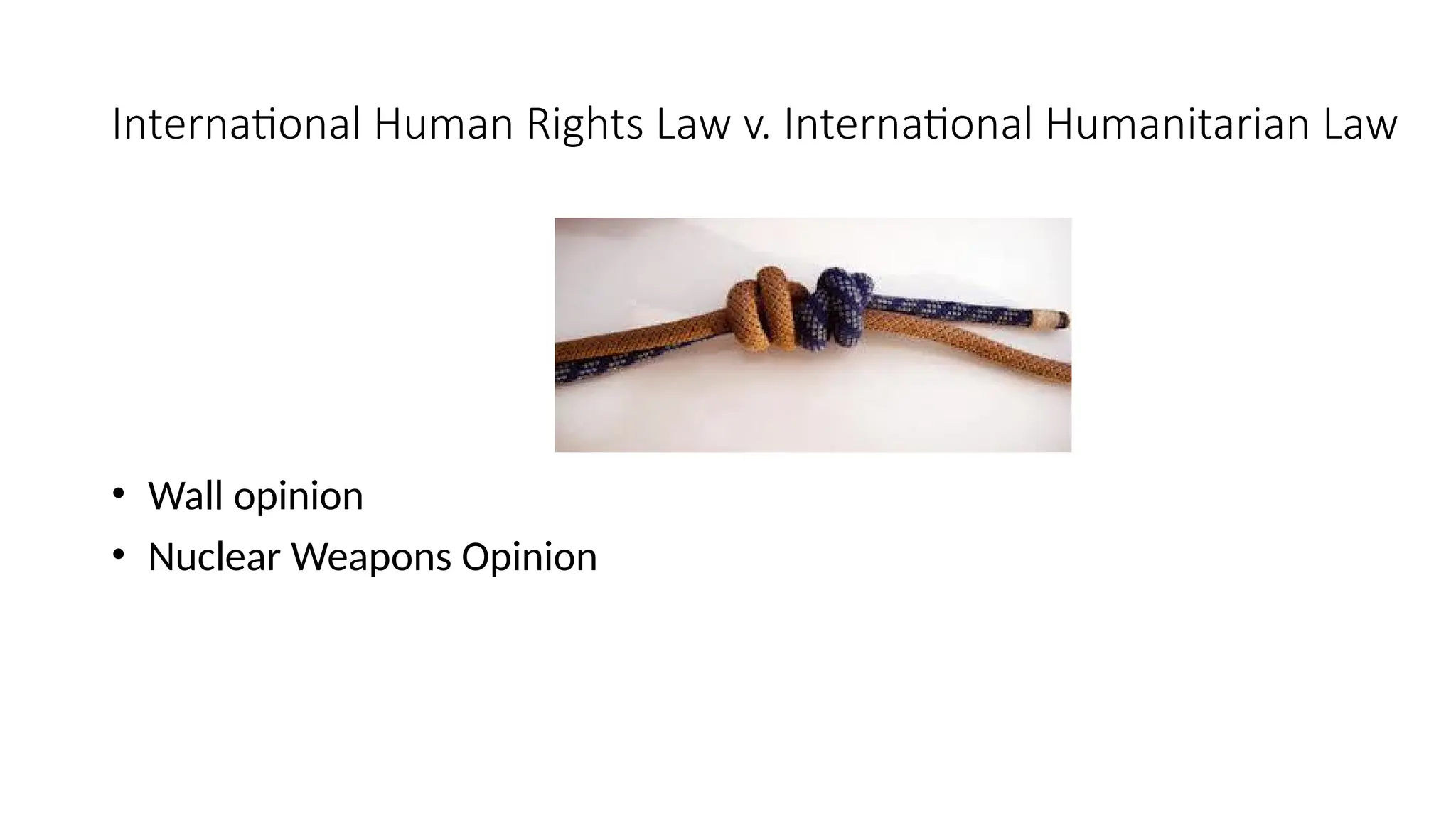 International Human Rights Law v. International Humanitarian Law
• Wall opinion
• Nuclear Weapons Opinion
 