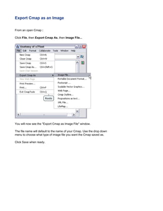Export Cmap as an Image 
From an open Cmap : 
Click File, then Export Cmap As, then Image File... 
You will now see the "Export Cmap as Image File" window. 
The file name will default to the name of your Cmap. Use the drop down menu to choose what type of image file you want the Cmap saved as. 
Click Save when ready.  