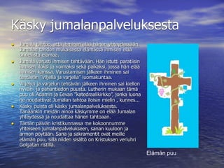 Käsky jumalanpalveluksesta
• Jumala tahtoo, että ihminen elää hänen yhteydessään.
    Jumalan tahdon mukaisessa elämässä ihmisen elää
    onnellista elämää.
•   Jumala varusti ihmisen tehtävään. Hän istutti paratiisin
    ihmisen iloksi ja voimaksi sekä paikaksi, jossa hän elää
    ihmisen kanssa. Varustamisen jälkeen ihminen sai
    tehtävän ”viljellä ja varjella” luomakuntaa.
•   Viljelyn ja varjelun tehtävän jälkeen ihminen sai kiellon
    hyvän- ja pahantiedon puusta. Lutherin mukaan tämä
    puu oli Adamin ja Eevan ”katedraalikirkko”, jonka luona
    he noudattivat Jumalan tahtoa iloisin mielin , kunnes...
•   Käsky puista oli käsky jumalanpalveluksesta.
    Tänäänkin meidän ainoa käskymme on elää Jumalan
    yhteydessä ja noudattaa hänen tahtoaan.
•   Tämän päivän kristikunnassa me kokoonnumme
    yhteiseen jumalanpalvelukseen, sanan kuuloon ja
    armon pöytään. Sana ja sakramentit ovat meille
    elämän puu, sillä niiden sisältö on Kristuksen veriuhri
    Golgatan ristillä.
                                                                Elämän puu
 