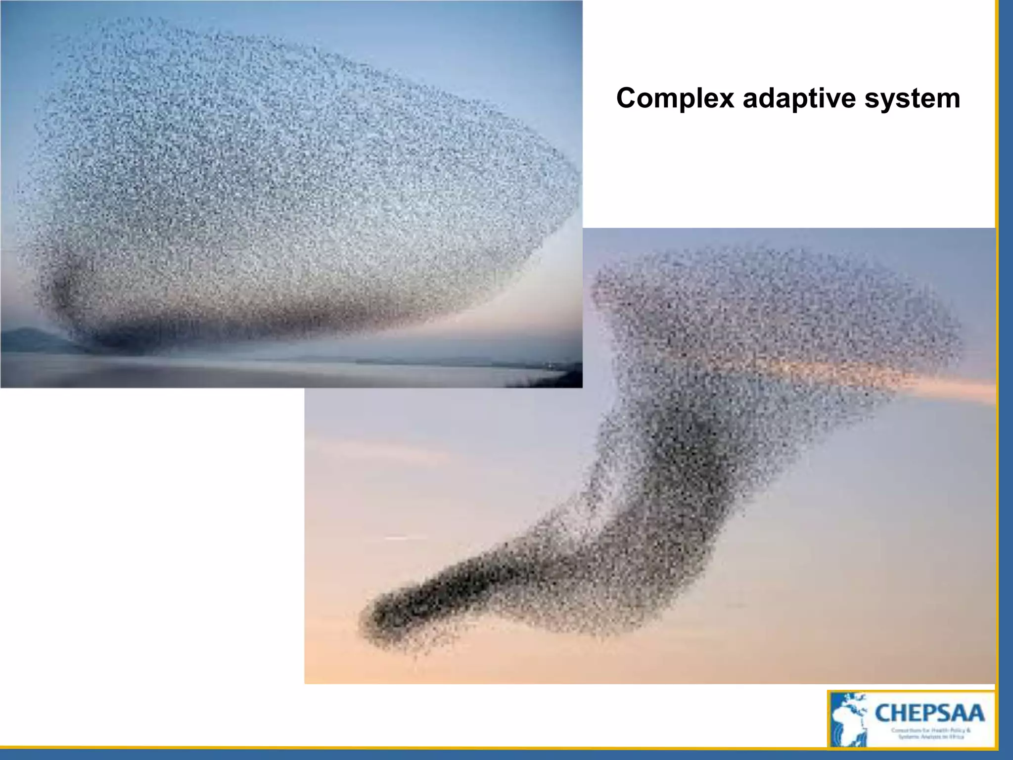 Complex adaptive system
 