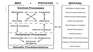 Integrated Health Psychology: Biopsychosocial-Spiritual Model Overview ...