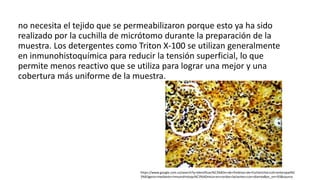 no necesita el tejido que se permeabilizaron porque esto ya ha sido 
realizado por la cuchilla de micrótomo durante la preparación de la 
muestra. Los detergentes como Triton X-100 se utilizan generalmente 
en inmunohistoquímica para reducir la tensión superficial, lo que 
permite menos reactivo que se utiliza para lograr una mejor y una 
cobertura más uniforme de la muestra. 
https://www.google.com.co/search?q=Identificaci%C3%B3n+de+fimbrias+de+Escherichia+coli+enteropat%C 
3%B3geno+mediante+inmunohistoqu%C3%ADmica+en+cerdos+lactantes+con+diarrea&es_sm=93&source. 
 