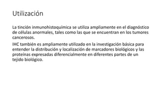 Utilización 
La tinción inmunohistoquímica se utiliza ampliamente en el diagnóstico 
de células anormales, tales como las que se encuentran en los tumores 
cancerosos. 
IHC también es ampliamente utilizado en la investigación básica para 
entender la distribución y localización de marcadores biológicos y las 
proteínas expresadas diferencialmente en diferentes partes de un 
tejido biológico. 
 