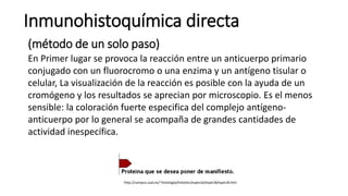 Inmunohistoquímica directa 
(método de un solo paso) 
En Primer lugar se provoca la reacción entre un anticuerpo primario 
conjugado con un fluorocromo o una enzima y un antígeno tisular o 
celular, La visualización de la reacción es posible con la ayuda de un 
cromógeno y los resultados se aprecian por microscopio. Es el menos 
sensible: la coloración fuerte especifica del complejo antígeno-anticuerpo 
por lo general se acompaña de grandes cantidades de 
actividad inespecífica. 
http://campus.usal.es/~histologia/histotec/especial/espe18/espe18.htm 
 