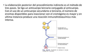 • La elaboración posterior del procedimiento indirecto es el método de 
tres pasos. Se liga un anticuerpo terciario conjugado al anticuerpo. 
Con el uso de un anticuerpo secundario o terciario, el número de 
enzimas disponibles para reaccionar con el cromógeno es mayor y en 
ultima instancia produce una reacción inmunohistoquímica más 
intensa. 
 