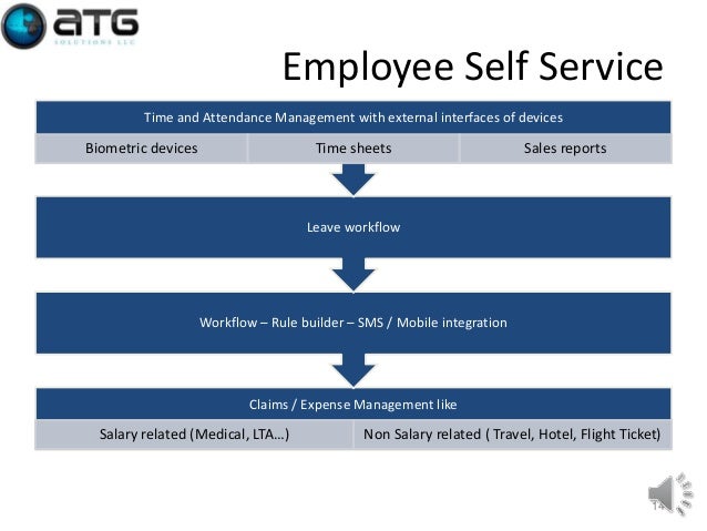 What is the Evolution Payroll Services employee self-serve portal?